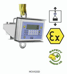 Zeige Produkte für Kategorie ATEX Kranwaagen Bild für Kategorie ATEX Kranwaagen