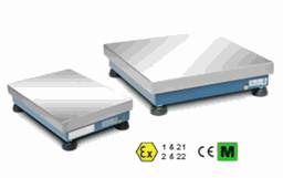 Zeige Details für Plattform mit Edelstahl-Lastplatte - eichfähig Bild von Plattform mit Edelstahl-Lastplatte - eichfähig